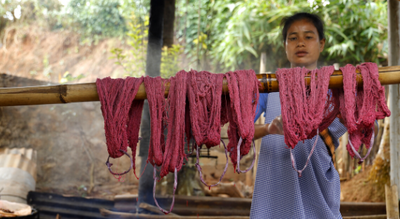 The Day I Learnt About Lac – A Precious Natural Dyeing Ingredient