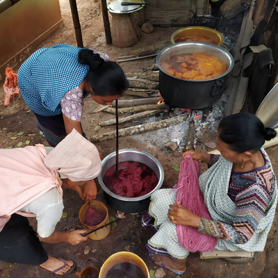 Natural Dyeing Workshop Offline